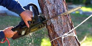 Best Soil Testing and Treatment  in Lochsloy, WA