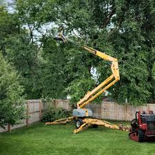 Best Lawn Mowing  in Lochsloy, WA
