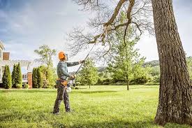 Best Tree Removal  in Lochsloy, WA
