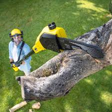 Best Firewood Processing and Delivery  in Lochsloy, WA